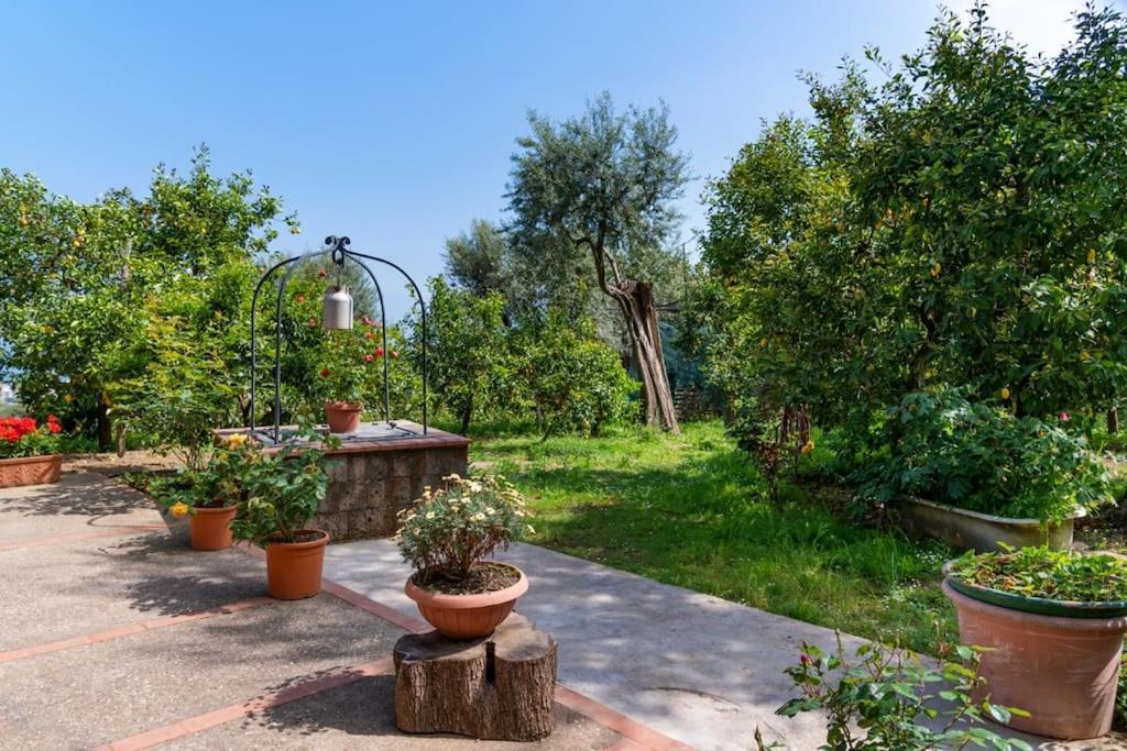 Sorrentovibes - Sea View Rooftop Apartment With Jacuzzi & Garden Exterior photo