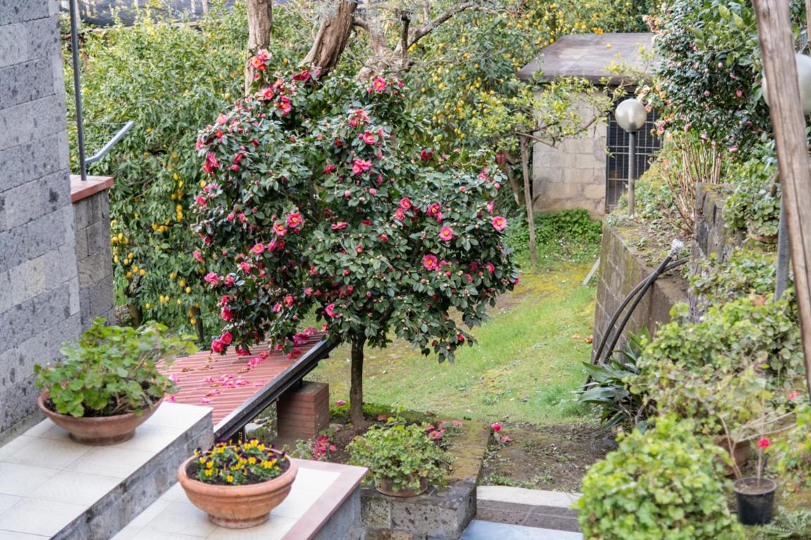 Sorrentovibes - Sea View Rooftop Apartment With Jacuzzi & Garden Exterior photo
