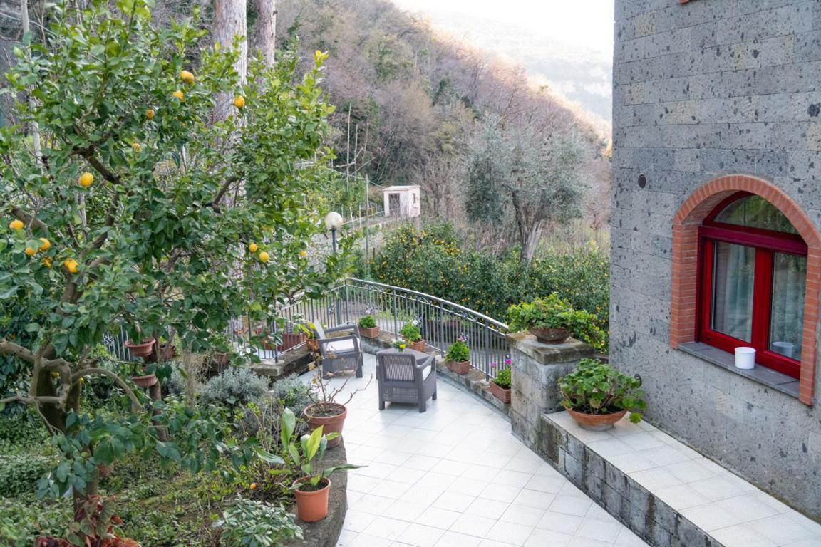 Sorrentovibes - Sea View Rooftop Apartment With Jacuzzi & Garden Exterior photo