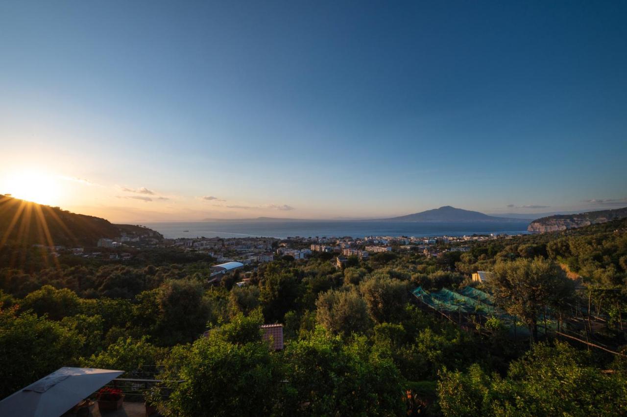 Sorrentovibes - Sea View Rooftop Apartment With Jacuzzi & Garden Exterior photo